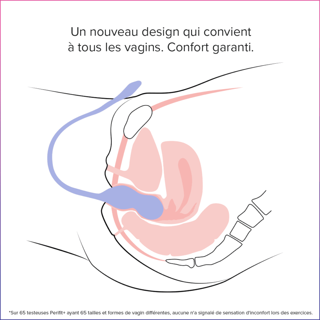 Schéma anatomique montrant l'utilisation de la sonde périnéale Perifit Care+ dans le vagin, avec des indications sur son design ergonomique et ses capteurs pour un entraînement périnéal précis